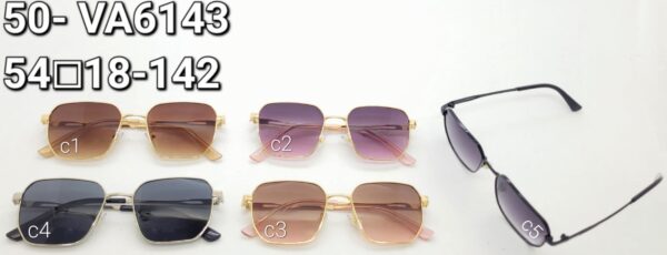 Óculos Metal 50- VA6243/ 54□18-142 Feminino